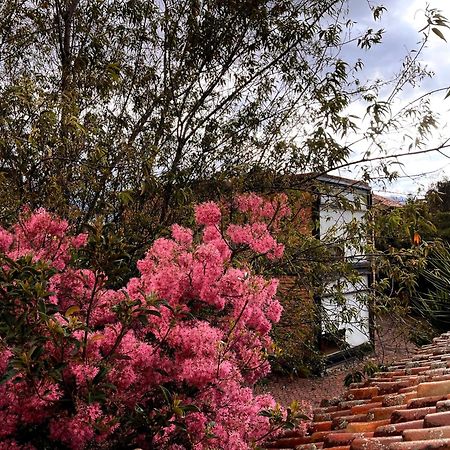 Casa Lloret Cuenca Exterior photo